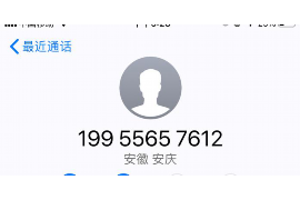 周至为什么选择专业追讨公司来处理您的债务纠纷？